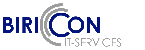Biricon IT Services e.u. | GPS Tracking System